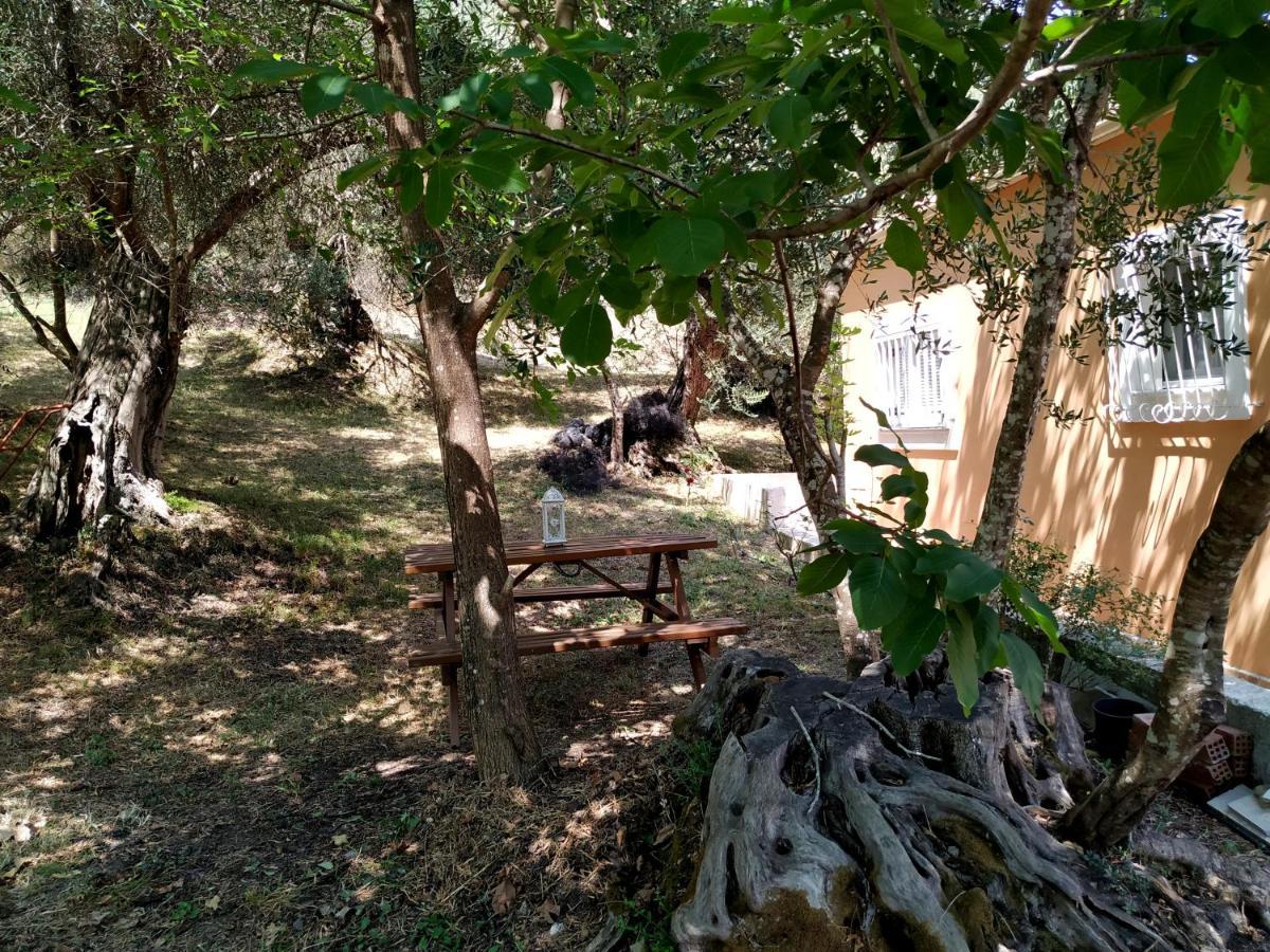 Family Holiday Apartment With Garden & Bbq Βελονάδες Εξωτερικό φωτογραφία