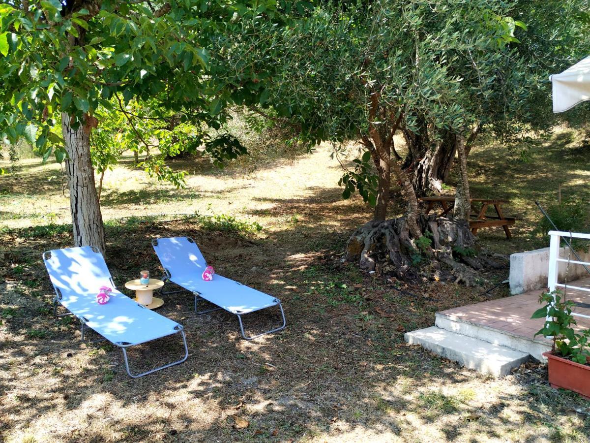 Family Holiday Apartment With Garden & Bbq Βελονάδες Εξωτερικό φωτογραφία