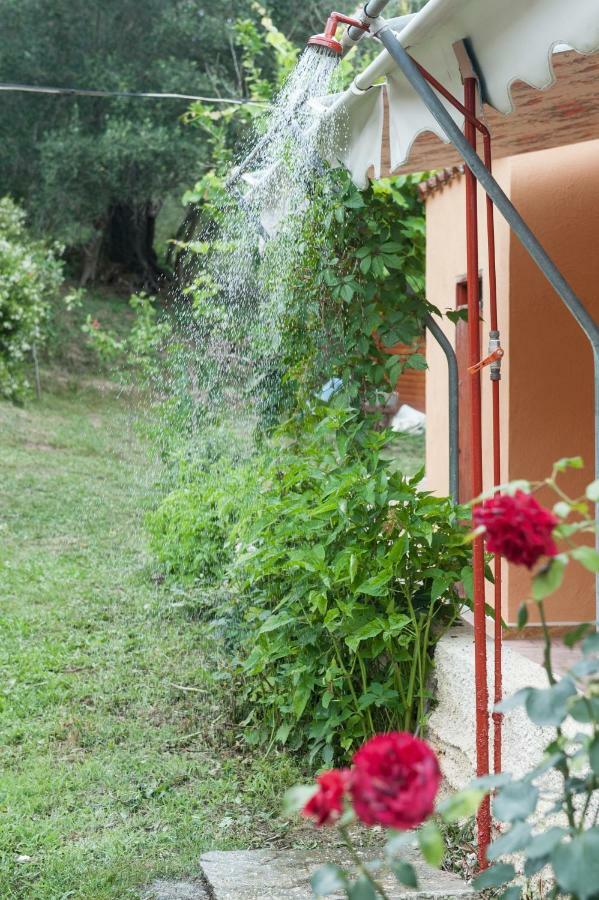 Family Holiday Apartment With Garden & Bbq Βελονάδες Εξωτερικό φωτογραφία