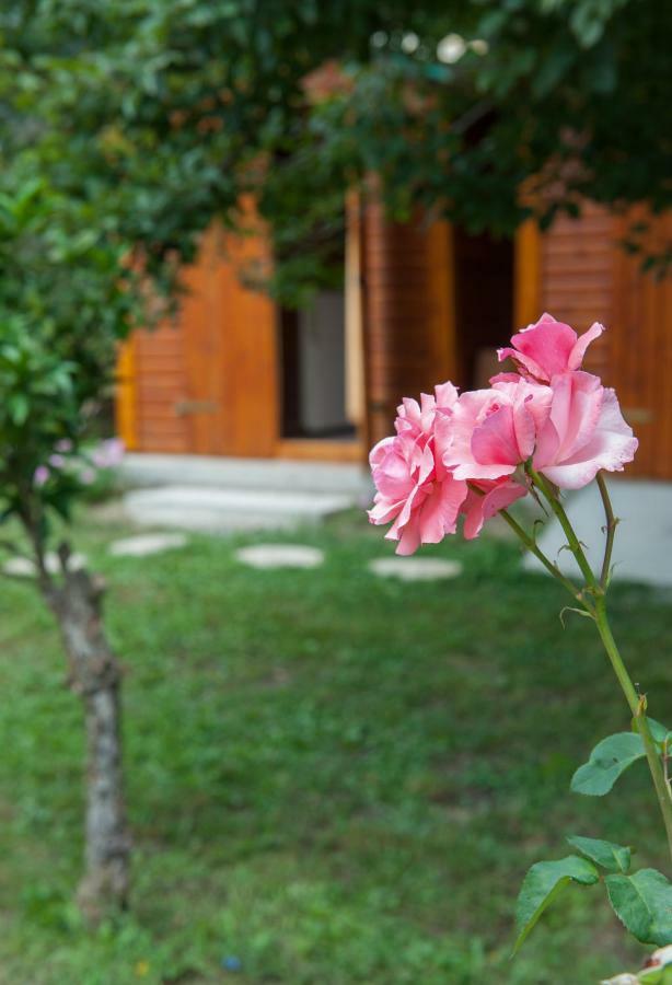 Family Holiday Apartment With Garden & Bbq Βελονάδες Εξωτερικό φωτογραφία